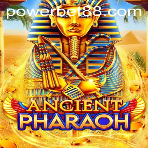 Explore the Thrilling World of 