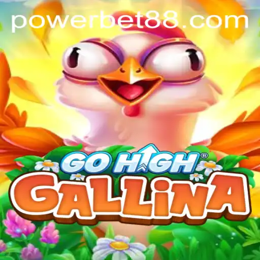 Exploring the Thrilling World of GoHighGallina: A Power-Packed Adventure